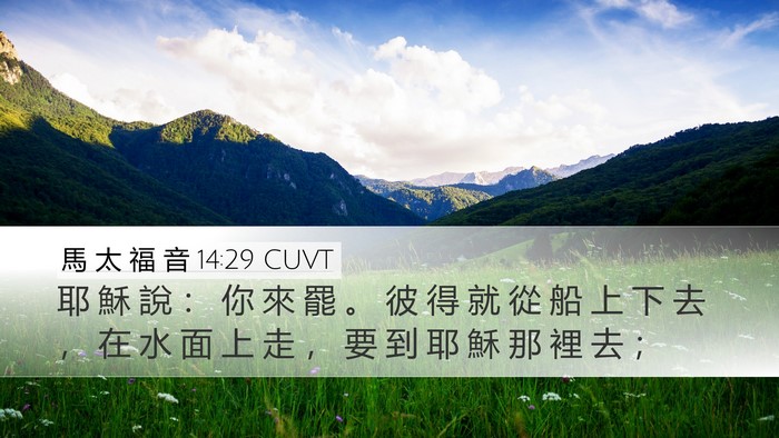 馬 太 福 音 14:29 CUVT Desktop Wallpaper - 耶 穌 說 ： 你 來 罷 。 彼 得 就 從 - Desktop Bible Verse Wallpaper
