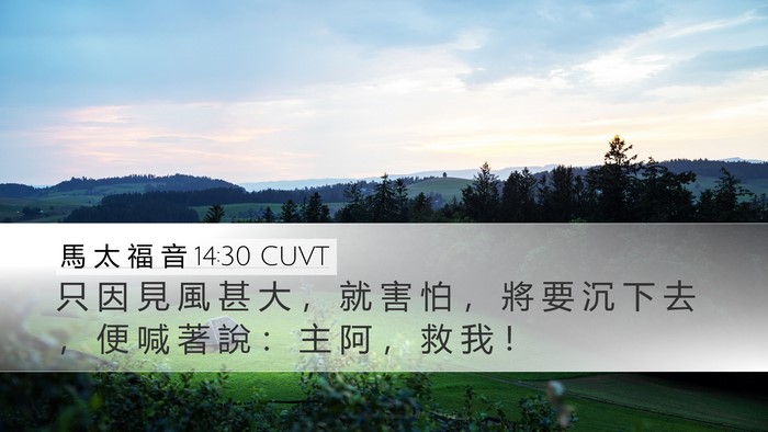 馬 太 福 音 14:30 CUVT Desktop Wallpaper - 只 因 見 風 甚 大 ， 就 害 怕 ， 將 - Desktop Bible Verse Wallpaper