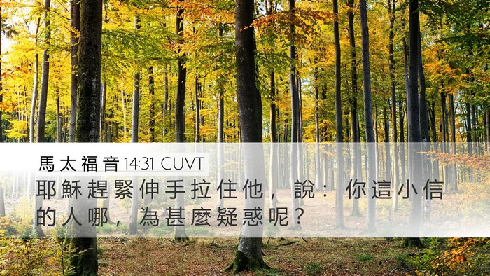 馬 太 福 音 14:31 CUVT Desktop Wallpaper - 耶 穌 趕 緊 伸 手 拉 住 他 ， 說 ： - Desktop Bible Verse Wallpaper