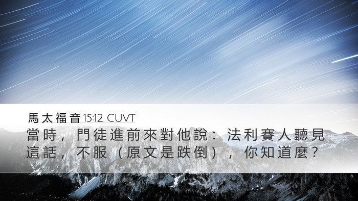 馬 太 福 音 15:12 CUVT Bible Verse Image