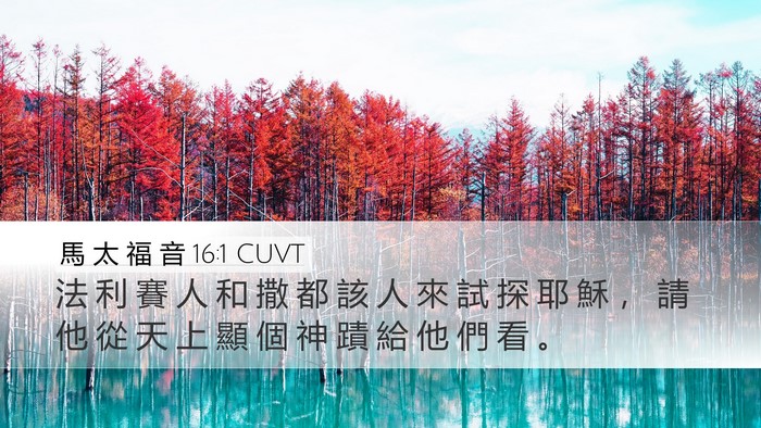 馬 太 福 音 16:1 CUVT Bible Verse Image