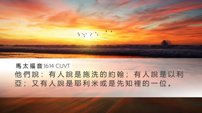 馬 太 福 音 16:14 CUVT Bible Verse Image