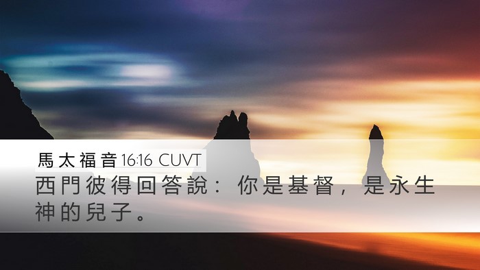 馬 太 福 音 16:16 CUVT Bible Verse Image