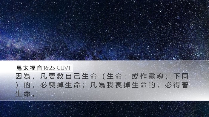 馬 太 福 音 16:25 CUVT Bible Verse Image