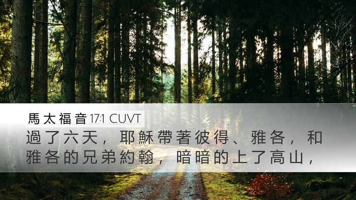 馬 太 福 音 17:1 CUVT Bible Verse Image