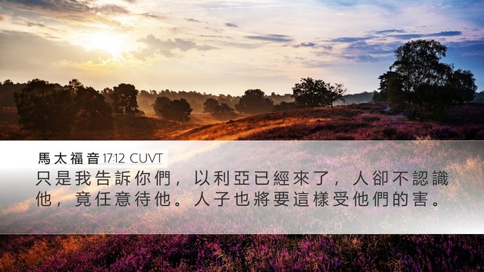 馬 太 福 音 17:12 CUVT Bible Verse Image