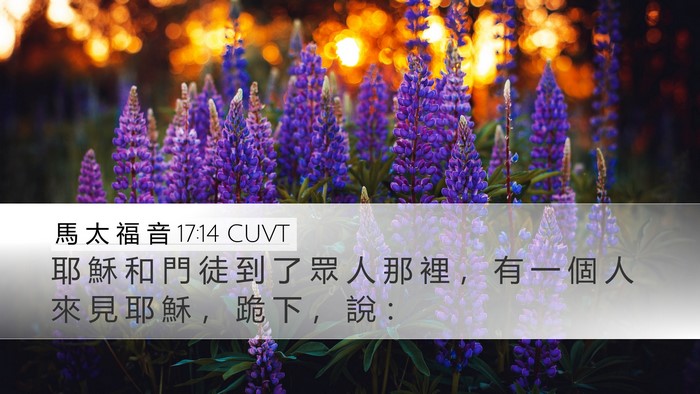 馬 太 福 音 17:14 CUVT Bible Verse Image