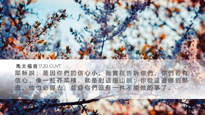 馬 太 福 音 17:20 CUVT Bible Verse Image