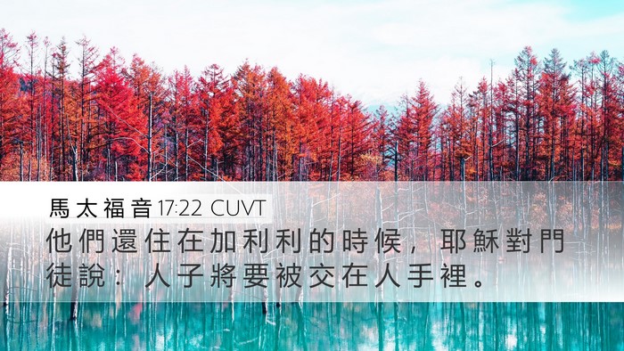 馬 太 福 音 17:22 CUVT Bible Verse Image