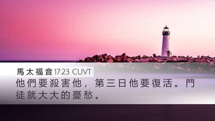 馬 太 福 音 17:23 CUVT Bible Verse Image