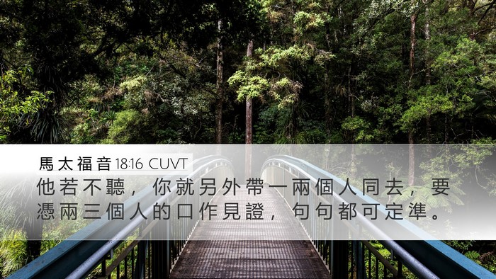 馬 太 福 音 18:16 CUVT Bible Verse Image