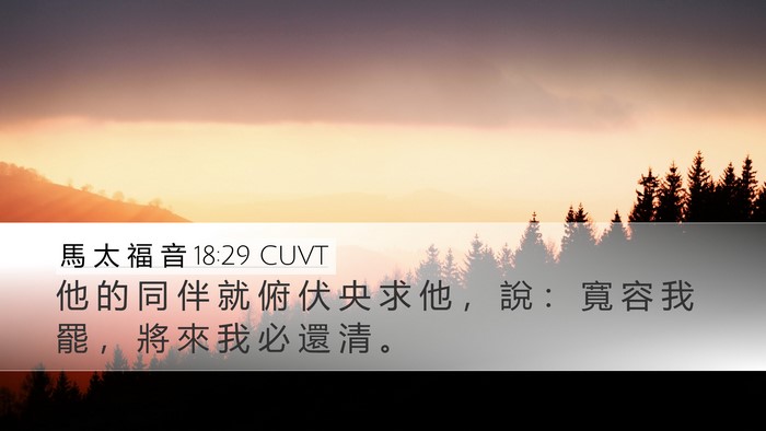 馬 太 福 音 18:29 CUVT Bible Verse Image