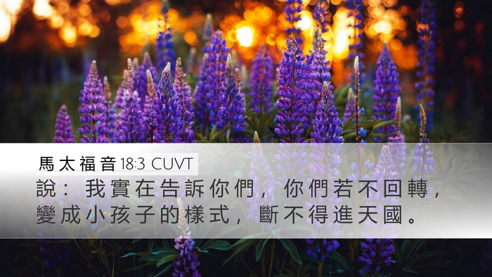 馬 太 福 音 18:3 CUVT Bible Verse Image
