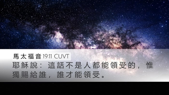 馬 太 福 音 19:11 CUVT Desktop Wallpaper - 耶 穌 說 ： 這 話 不 是 人 都 能 領 - Desktop Bible Verse Wallpaper
