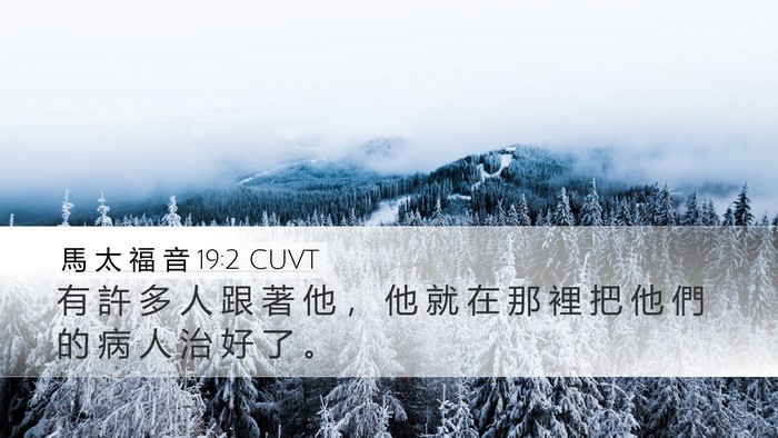 馬 太 福 音 19:2 CUVT Bible Verse Image