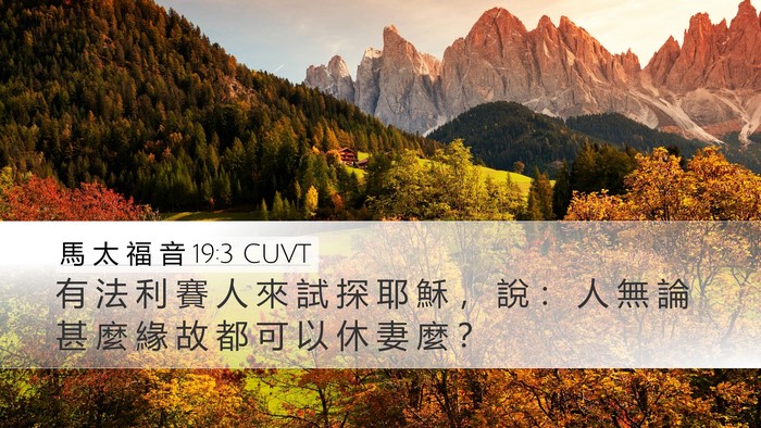 馬 太 福 音 19:3 CUVT Desktop Wallpaper - 有 法 利 賽 人 來 試 探 耶 穌 ， 說 - Desktop Bible Verse Wallpaper