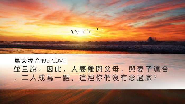 馬 太 福 音 19:5 CUVT Bible Verse Image
