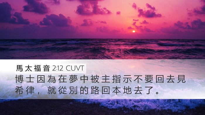 馬 太 福 音 2:12 CUVT Bible Verse Image