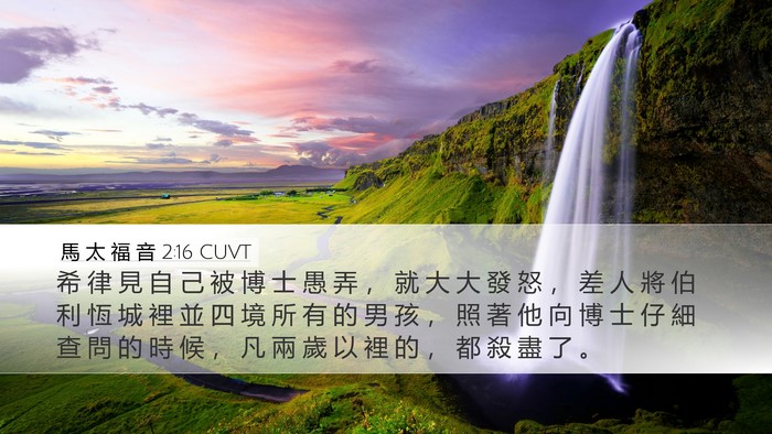 馬 太 福 音 2:16 CUVT Bible Verse Image