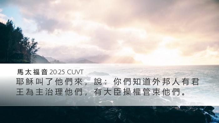 馬 太 福 音 20:25 CUVT Bible Verse Image