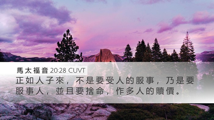 馬 太 福 音 20:28 CUVT Bible Verse Image