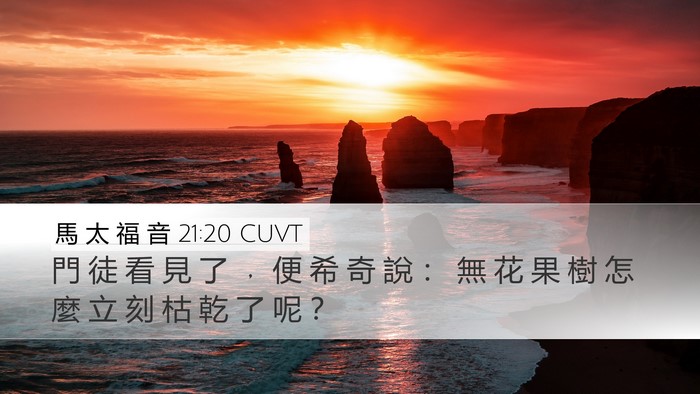 馬 太 福 音 21:20 CUVT Desktop Wallpaper - 門 徒 看 見 了 ﹐ 便 希 奇 說 ： 無 - Desktop Bible Verse Wallpaper