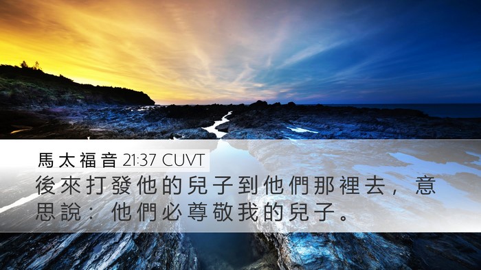 馬 太 福 音 21:37 CUVT Desktop Wallpaper - 後 來 打 發 他 的 兒 子 到 他 們 那 - Desktop Bible Verse Wallpaper