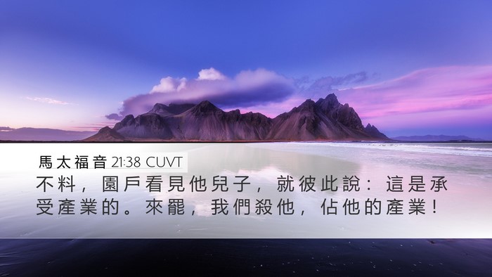 馬 太 福 音 21:38 CUVT Bible Verse Image