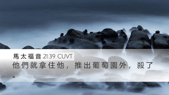 馬 太 福 音 21:39 CUVT Bible Verse Image