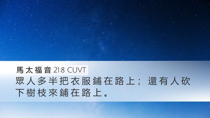 馬 太 福 音 21:8 CUVT Bible Verse Image