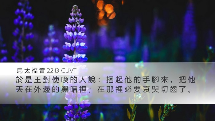 馬 太 福 音 22:13 CUVT Bible Verse Image
