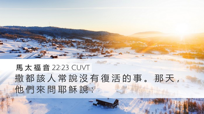 馬 太 福 音 22:23 CUVT Bible Verse Image