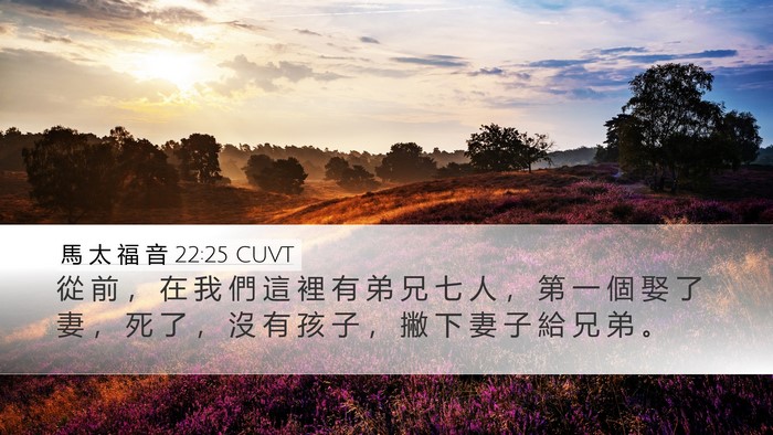 馬 太 福 音 22:25 CUVT Desktop Wallpaper - 從 前 ， 在 我 們 這 裡 有 弟 兄 七 - Desktop Bible Verse Wallpaper
