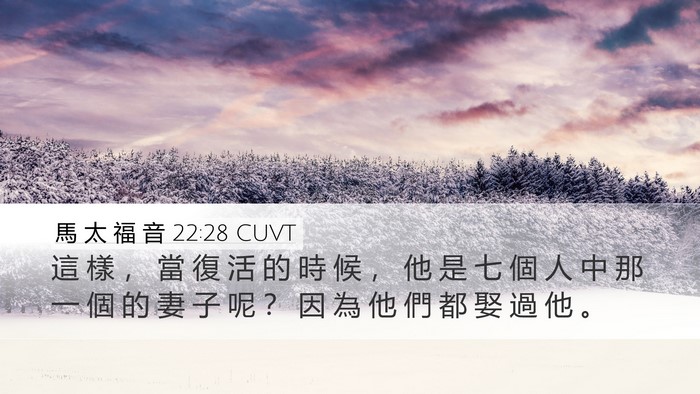 馬 太 福 音 22:28 CUVT Desktop Wallpaper - 這 樣 ， 當 復 活 的 時 候 ， 他 是 - Desktop Bible Verse Wallpaper