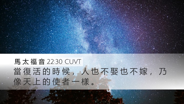 馬 太 福 音 22:30 CUVT Bible Verse Image
