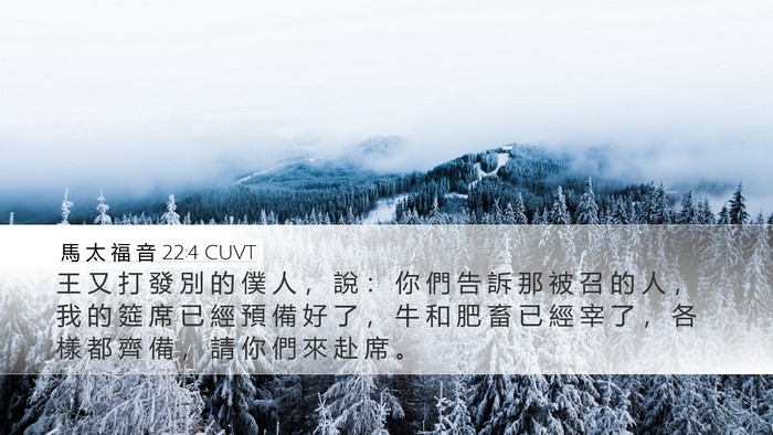 馬 太 福 音 22:4 CUVT Bible Verse Image