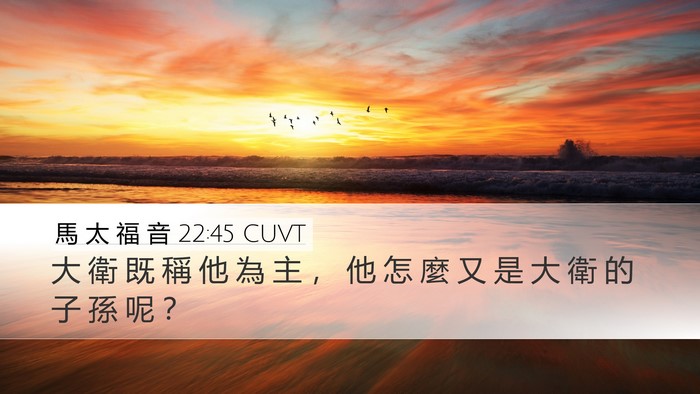 馬 太 福 音 22:45 CUVT Desktop Wallpaper - 大 衛 既 稱 他 為 主 ， 他 怎 麼 又 - Desktop Bible Verse Wallpaper