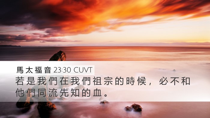 馬 太 福 音 23:30 CUVT Bible Verse Image
