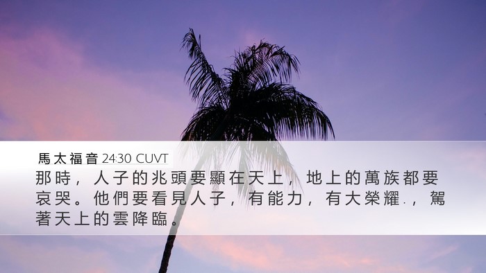 馬 太 福 音 24:30 CUVT Bible Verse Image