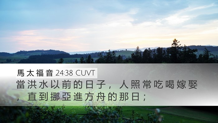 馬 太 福 音 24:38 CUVT Bible Verse Image