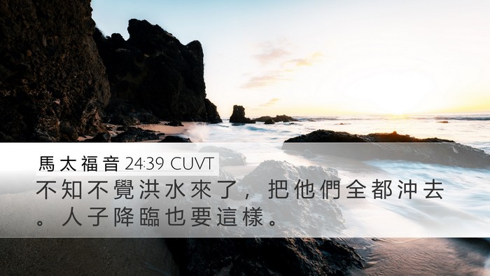 馬 太 福 音 24:39 CUVT Bible Verse Image
