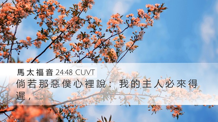 馬 太 福 音 24:48 CUVT Bible Verse Image