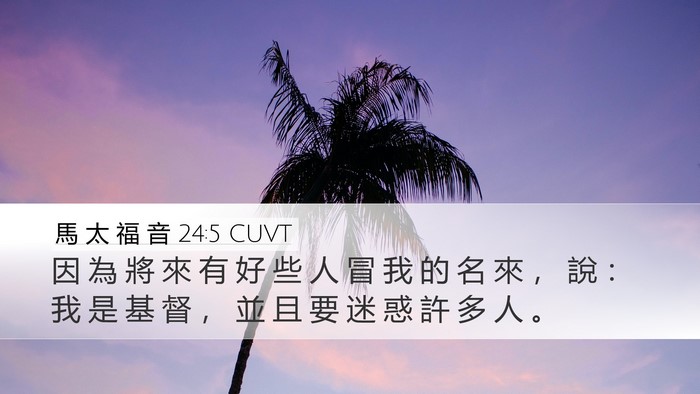 馬 太 福 音 24:5 CUVT Desktop Wallpaper - 因 為 將 來 有 好 些 人 冒 我 的 名 - Desktop Bible Verse Wallpaper