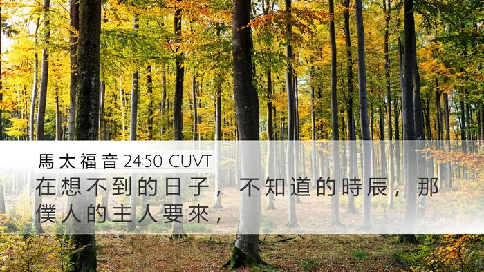 馬 太 福 音 24:50 CUVT Bible Verse Image