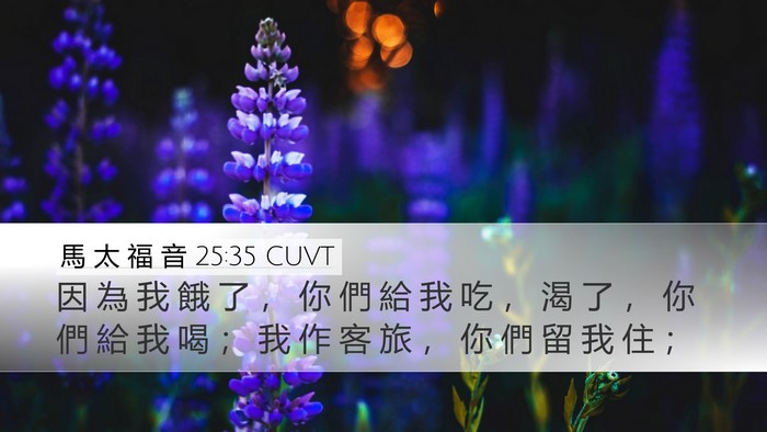 馬 太 福 音 25:35 CUVT Bible Verse Image
