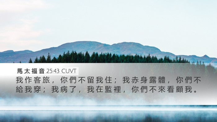 馬 太 福 音 25:43 CUVT Bible Verse Image