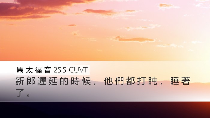 馬 太 福 音 25:5 CUVT Bible Verse Image