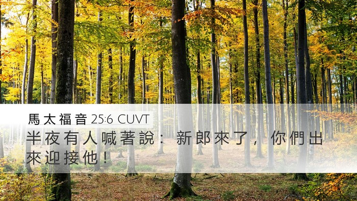 馬 太 福 音 25:6 CUVT Bible Verse Image