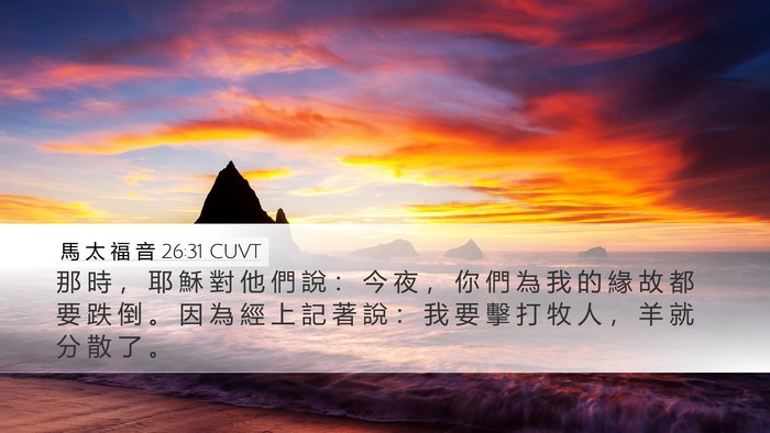 馬 太 福 音 26:31 CUVT Bible Verse Image