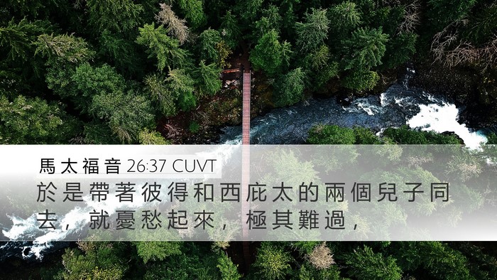 馬 太 福 音 26:37 CUVT Bible Verse Image